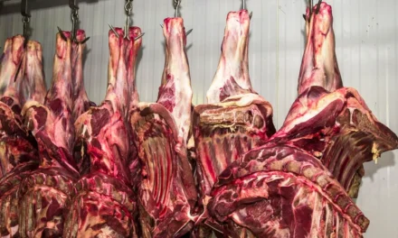 China suspende frigoríficos brasileiros após detectar irregularidades sanitárias em cargas de carne bovina