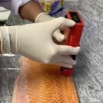Carne de laboratório: conheça a técnica desenvolvida pela Embrapa