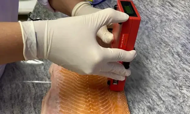 Carne de laboratório: conheça a técnica desenvolvida pela Embrapa