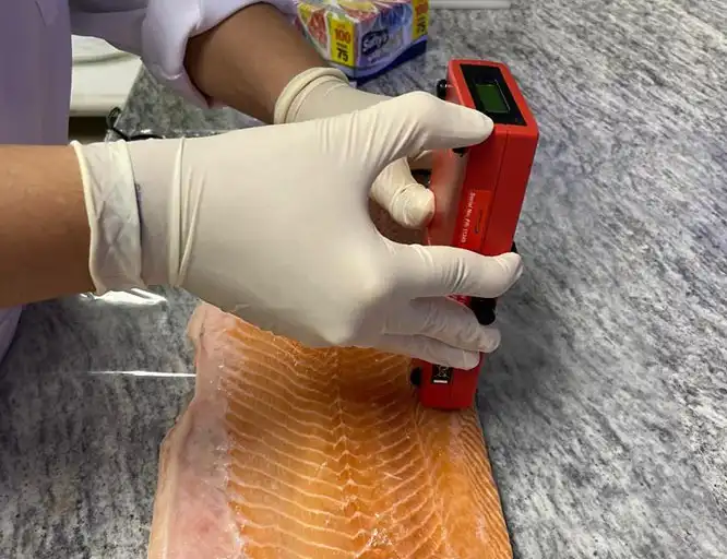 Carne de laboratório: conheça a técnica desenvolvida pela Embrapa