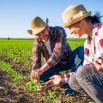 Agricultores familiares aumentam renda em 30% com programa federal 
