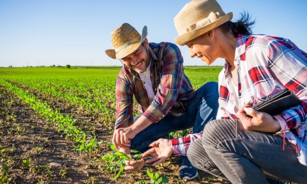 Agricultores familiares aumentam renda em 30% com programa federal 
