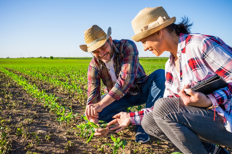 Agricultores familiares aumentam renda em 30% com programa federal 
