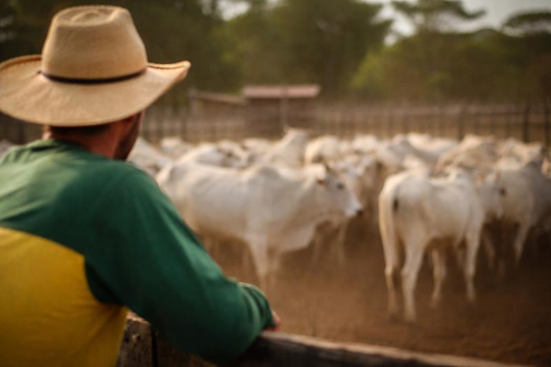 Lideranças de MT celebram decisão da China que beneficia pecuária no Estado