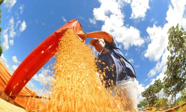Conab: produção de grãos pode chegar a 358,6 milhões de toneladas