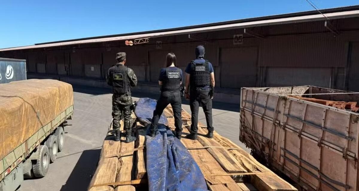 Operação apreende 130 toneladas de madeira com cocaína líquida em MT