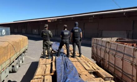 Operação apreende 130 toneladas de madeira com cocaína líquida em MT