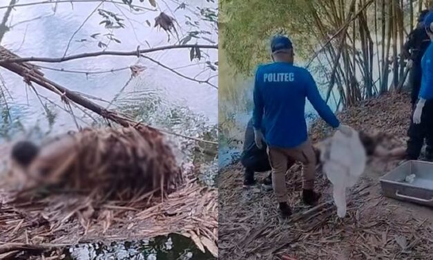 Corpo é encontrado às margens do Rio Coxipó e DHPP investiga;