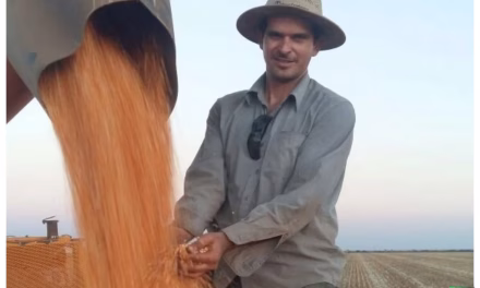 Ministra mantém tornozeleira em empresário acusado pelo assassinato de produtor rural