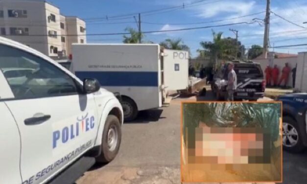 Bebê encontrada em lixeira nasceu com vida e morreu após parto, aponta Polícia Civil