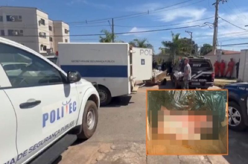 Bebê encontrada em lixeira nasceu com vida e morreu após parto, aponta Polícia Civil
